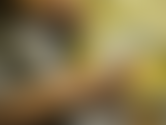 Endividamento atinge 76,6% das famílias brasileiras, mostra CNC