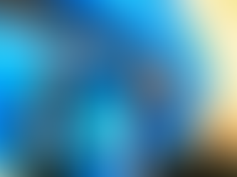 Nilson Probst é o vice de Juliana Pavan na eleição