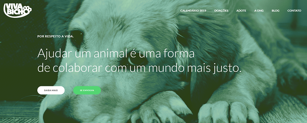 Animais abandonados ou maltratados: só ficar com pena não resolve