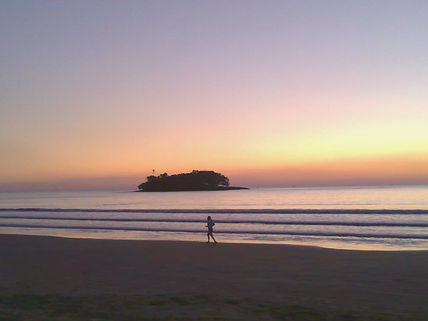 Hipóteses eleitorais e a grande incapacidade de gestão