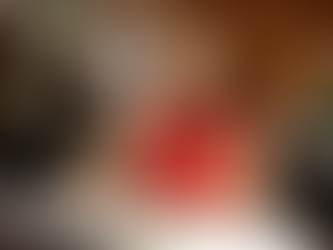 Deputada do PL condena apoio de Bolsonaro a candidato de esquerda em SC