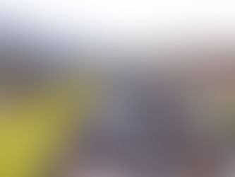 Ineficiência política coletiva