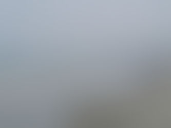 Plano Diretor: pressa sem nexo