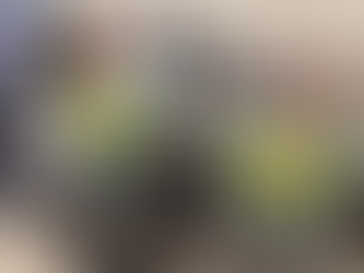 GAECO apura irregularidades em hospital e cumpre mandados em Balneário Camboriú