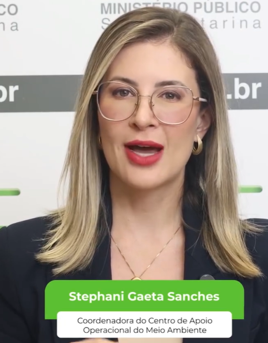 Irregularidades nas leis municipais de flexibilização de áreas de proteção permanente