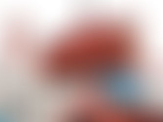 Desclassificada empresa vencedora para assumir arrendamento do Porto de Itajaí 