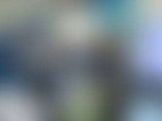 Aprovada Zona de Interesse Turístico dentro da APA no limite com Itapema