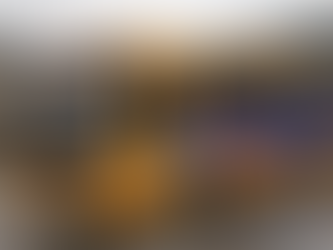 BC Bus anuncia linha da Praia de Laranjeiras ao Terminal Rodoviário