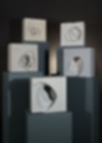 Samson Penot - Galets.JPG