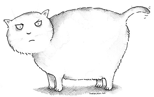 Comment savoir si mon chat est en surpoids et, si oui Comment savoir si mon chat est en surpoids et, si oui