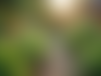 Join Our Community for Purpose-Driven Growth