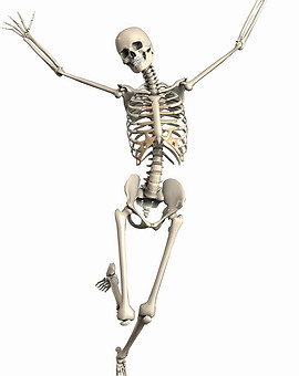 skeleton-g8998c5582_1280.jpg