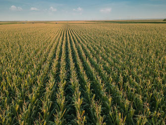 Incerteza climática aquece o mercado de seguro rural