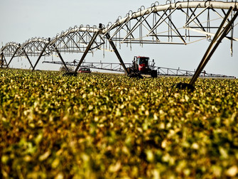 Agropecuária é único setor da economia com crescimento na pandemia, diz IBGE