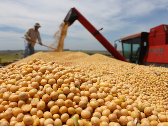 O AGRONEGÓCIO E O SEGURO AGRÍCOLA SERÃO TEMAS DE DEBATE NO CONGRESSO DA AIDA