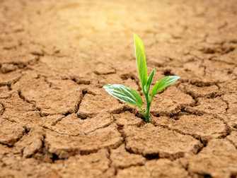 Agricultura brasileira ficará para trás se não considerar mudança do clima, diz ex-ministro