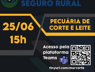 Seguro rural para pecuária de leite e de corte será avaliado em videoconferência do Mapa