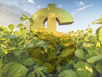 Governo de SP libera R$ 26 milhões para o agronegócio
