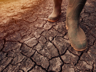Indenizações no seguro rural e Proagro podem chegar a R$ 1,89 bilhão no Rio Grande do Sul