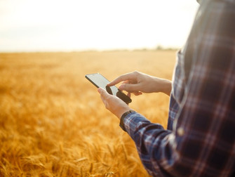 Mapa lança aplicativo para que produtores tenham acesso a informações sobre seguro rural