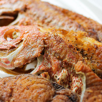 Fried Snapper (Fish Only) image