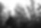 pexels-tim-mossholder-1049687BW.jpg