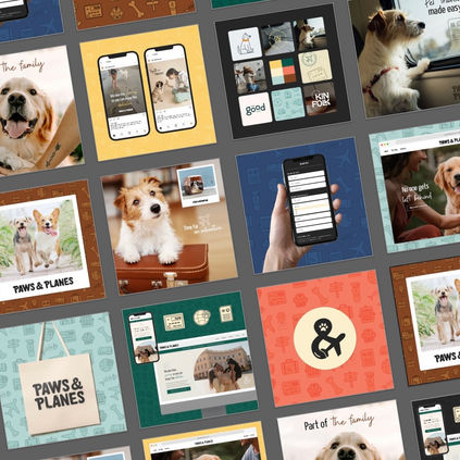 Paws & Planes Pet Relocation branding, website design and car wrapping