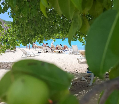 WhatsApp Image 2025-10-31 at 12.03.59 AM (1) (1).jpeg