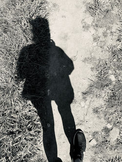 Walk The Earth