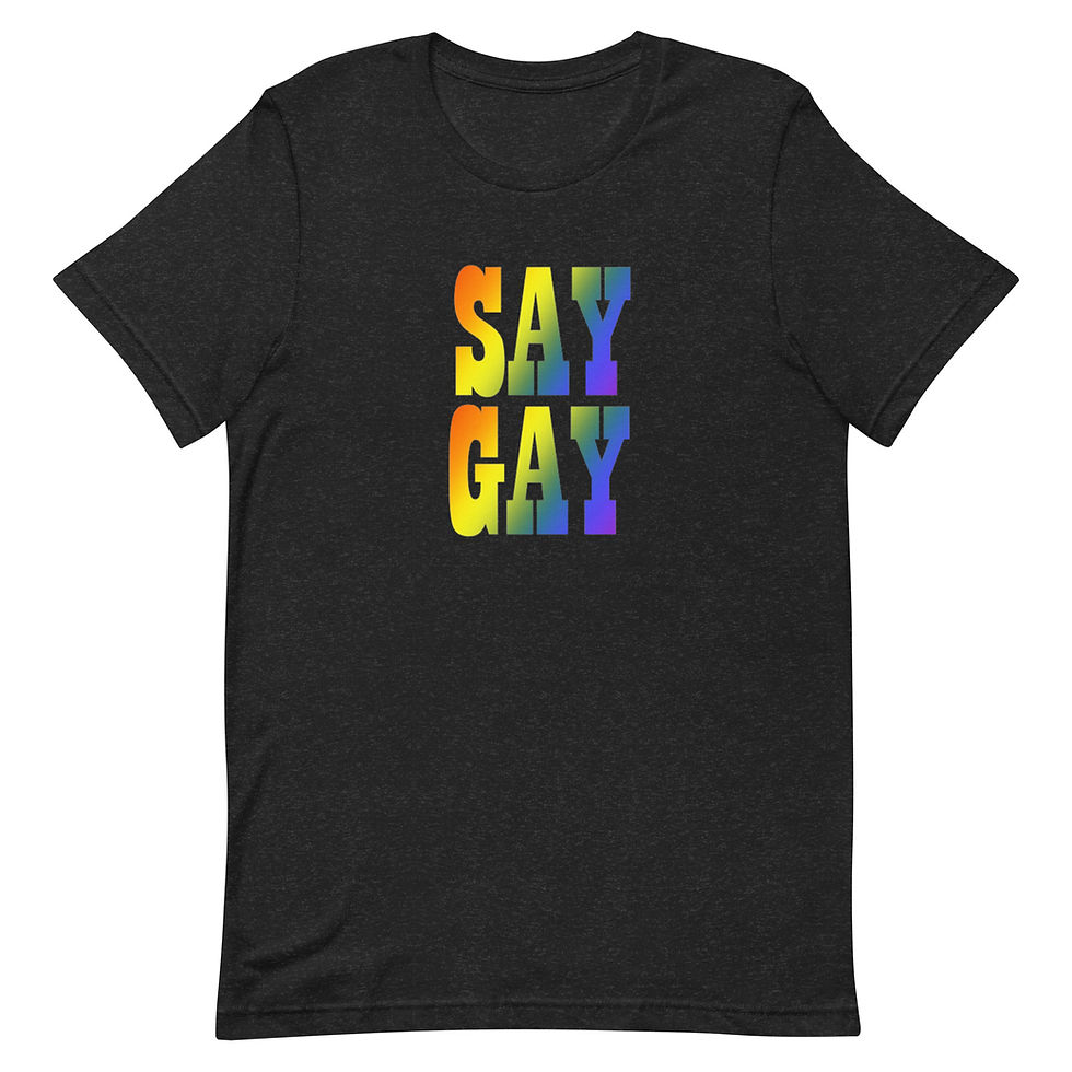Thumbnail: Say Gay t-shirt