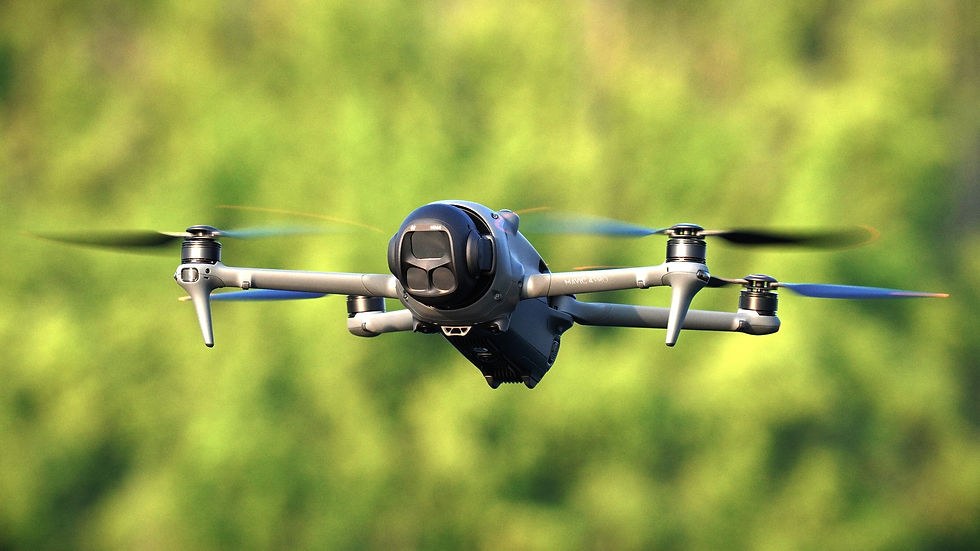 スチル 2025-07-06 105208_1.25.1.jpg