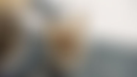 Petswag Pet Grooming Academy Mumbai