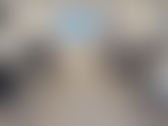 How To Choose The Right Pet Grooming Course In India: Beginner, Intermediate, Or Professional?