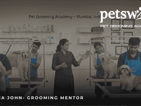 How to Become a Certified Pet Groomer in India: Skills,Courses & Career Path Explained