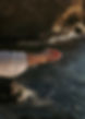 MAL03851.jpg