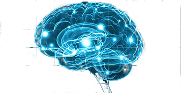 neuro_home_700x360_edited.png