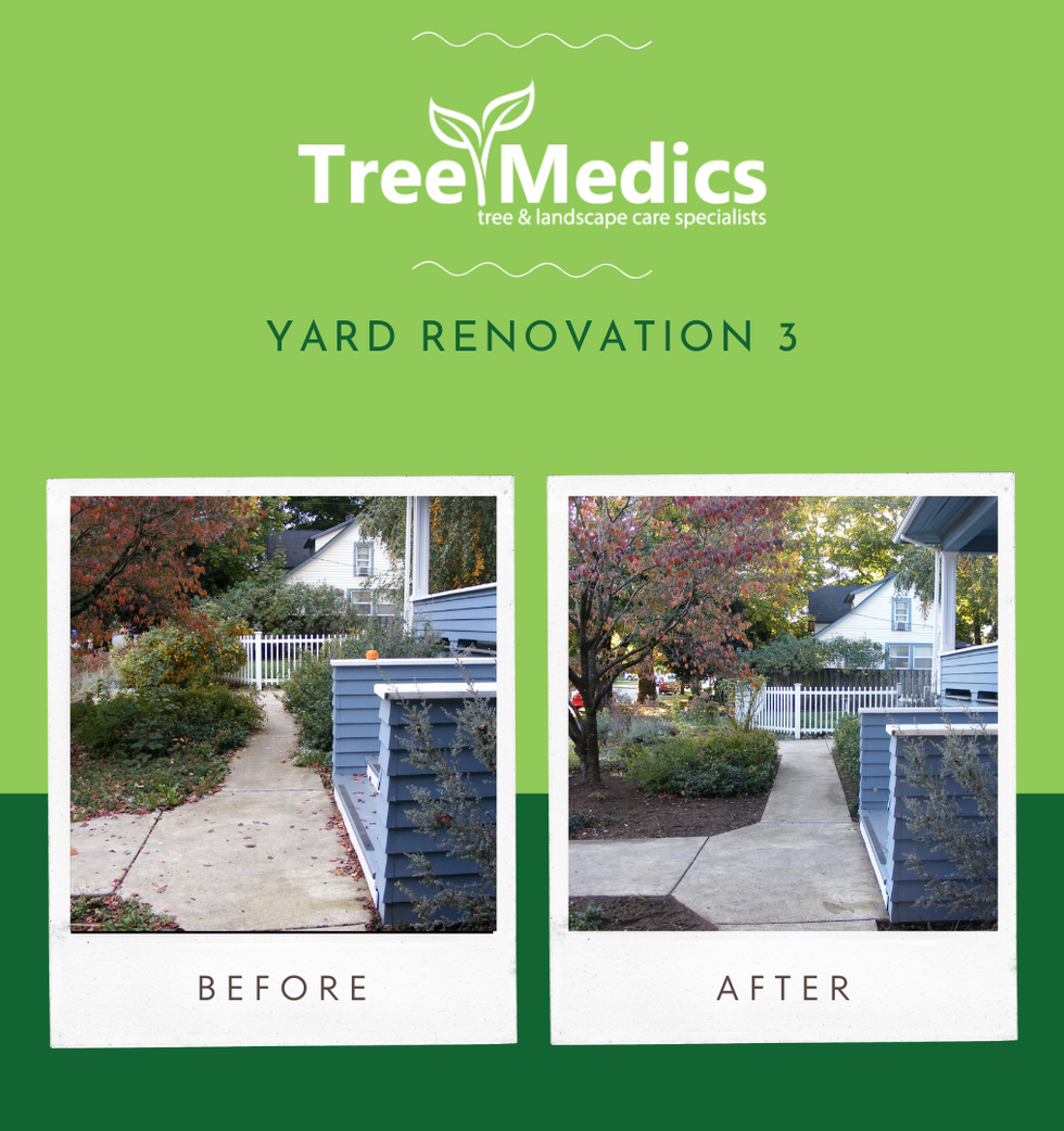 Yard Renovation 3.png