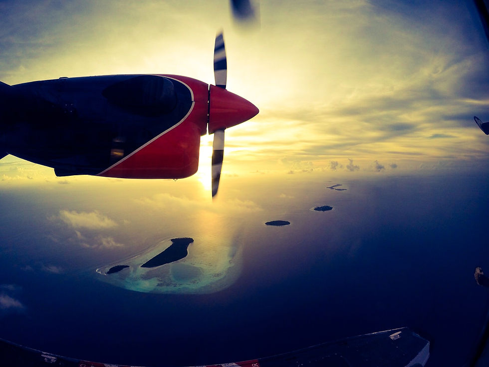 GoPro