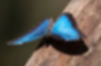 Lars bilder 2014 (1)_scaled.jpg