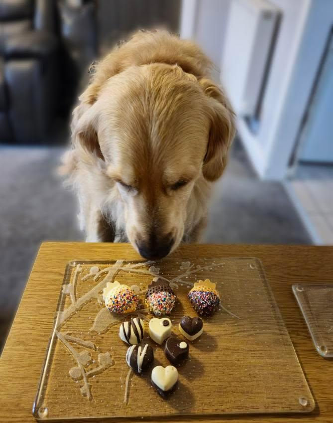 Thumbnail: Luxury Strawberries