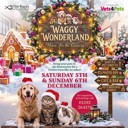Flynn's Favourites - Waggy Wonderland.jpg