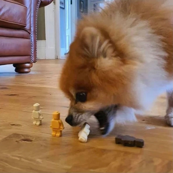 Thumbnail: Building Bricks Figures