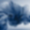 Site Visuals.png