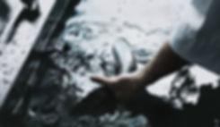 original_dpoupalos_Matsuhisa_Athens_head