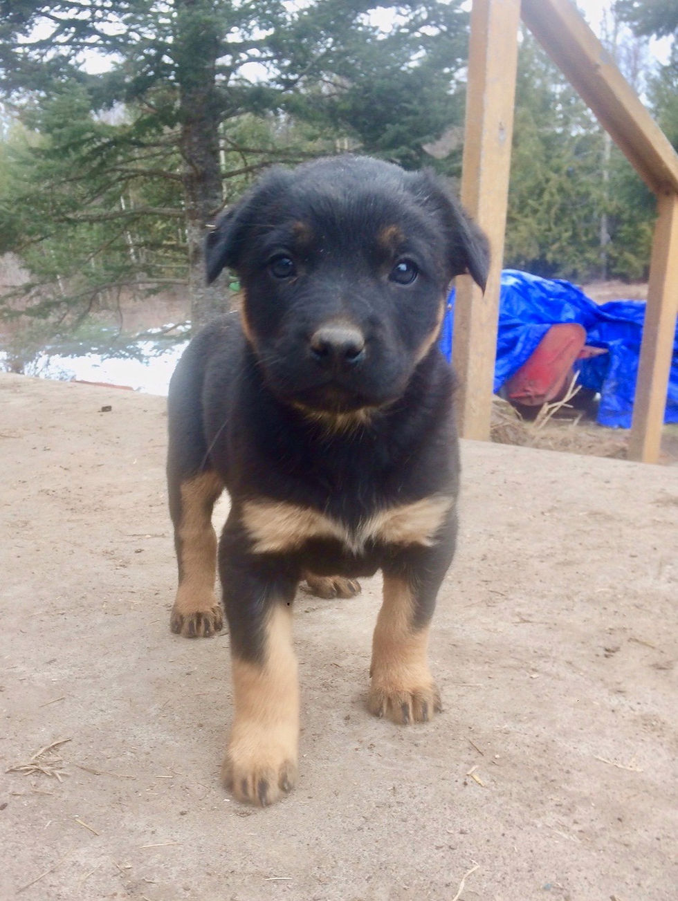 60869654161__498C26C7-8B4A-4ED4-8FBB-74C