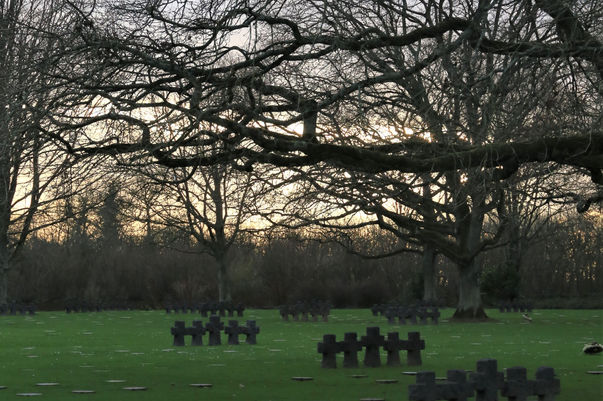 IMG_3671 (2)_edited.jpg