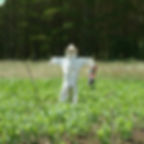 Funda apicultor - Abella Meiga