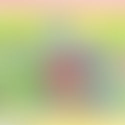 A basket of mended hearts and 2 swallows hanging a quilt on a line