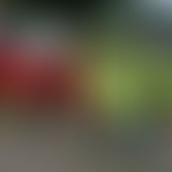 DUTCHESS COUNTY FAIR FOOD VENDORS STEP UP TO DONATE OVER 1,800 POUNDS OF FOOD THROUGH FEEDHV