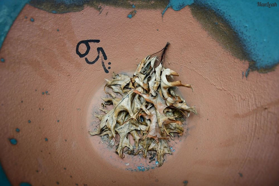 A photo of a small pile of dead leaves on a ceramic plate with the number 65 written in sharpie with a :) next to it.